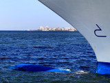 Le Costa Méditerranea en Mer Égée