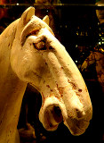 Tête de cheval