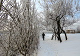 décor de neige