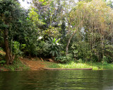 Visite chez le peuple Embera