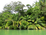 ÉCO-TOURISME DANS LA JUNGLE