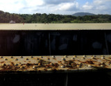 le pont sur le rio Chagres