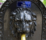 le lion qui donne  boire