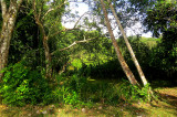 Réserve de Gamboa