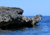 Promenade en bateau  la Grotte bleue, Malte