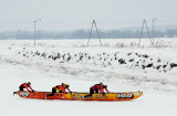 Course en canot à glace, Portneuf 2015