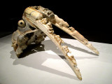 morse sculpté