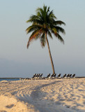 Barcelo Maya beach resort