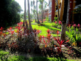 Barcelo Maya beach resort