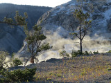 Mammoth Hot Springs- paysage magique