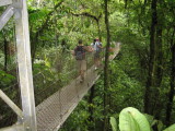 there were 5 (or 6?) hanging bridges on the hike - they were not too long..