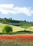 Tuscany