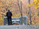 ir-131106_15-40_4525L.jpg