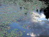 r-200107152212_Lac Bastien_Quebec,Can_PS-AutoLevels.jpg