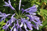 ir-140814_13-16_9800.jpg