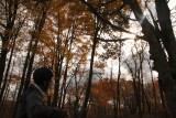 ir-IMG_1964.jpg