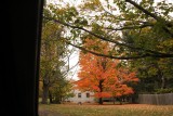 ir-IMG_1998.jpg