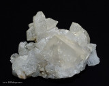 Calcite on Apophyllite - India