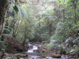 River at Los Ranchitos del Quetzal reserve