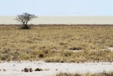 Etosha pan