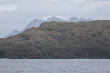 Albatross Island on our way to Rositas Harbour 141207 137.jpg