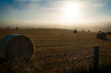 26th September 2013 <br> first frost