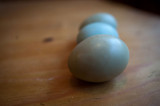 3rd January 2014 <br> blue eggs