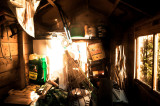 17th March 2014 still awaiting a tidy