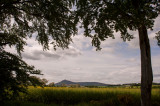 1st June 2014 <br> Balquhain