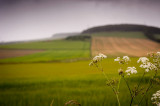 22nd June 2014 <br> mid-summer rain