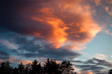 22nd August 2014 <br> saucer