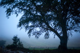 16th September 2014 <br> blue mist