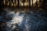 1st February 2015 <br> north wind