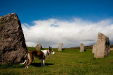 DSC_4235-001.jpg