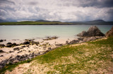 DSC_5726-001.jpg
