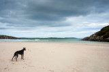 12th June 2016 <br> Baloo at the beach