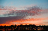 DSC_5755-001.jpg