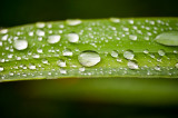 28th August 2016 rain stopped