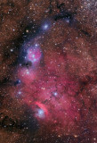 NGC 6559, IC 1274 and IC 4685 - Cropped