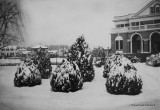 ECU Library in Snow in 1936