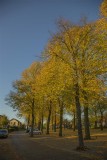 Autumn - 26 october 2013
