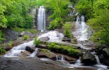 Reedy Cove Falls