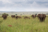SAFARI063.jpg