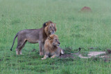SAFARI148.jpg