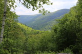 IMG_0633.JPG