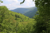 IMG_0637.JPG