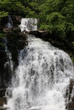 IMG_0643.JPG
