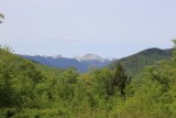 IMG_0494.JPG