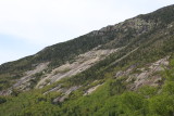 IMG_0502.JPG