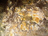 P2188616_4w.jpg